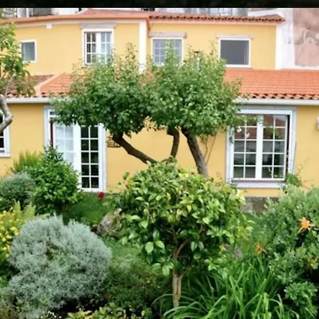 W/garden Sintra