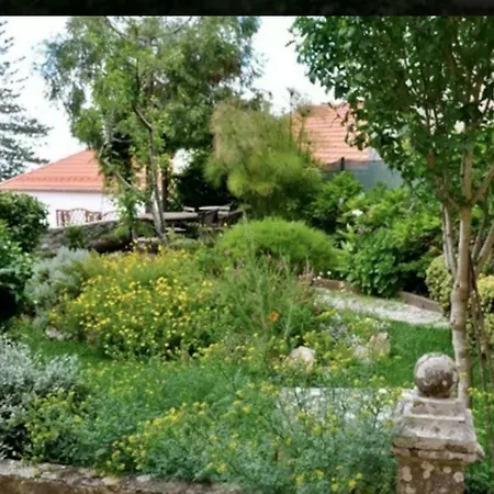 W/garden Sintra